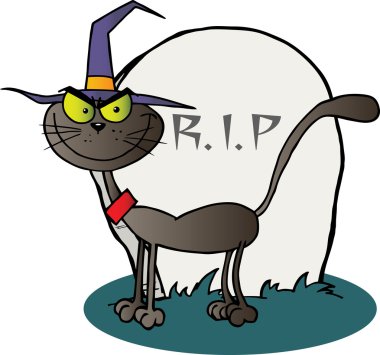 Halloween cadı kedi