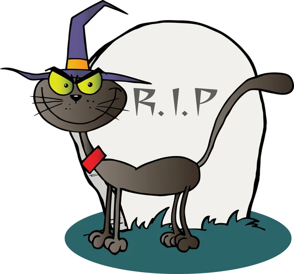 Gato bruxa de Halloween — Fotografia de Stock