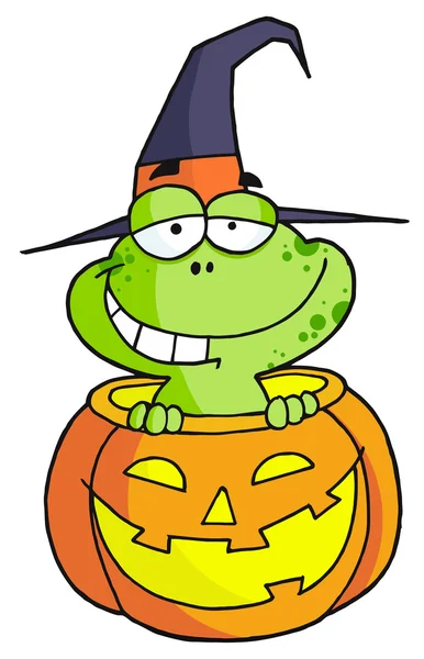 Halloween żaba — Zdjęcie stockowe