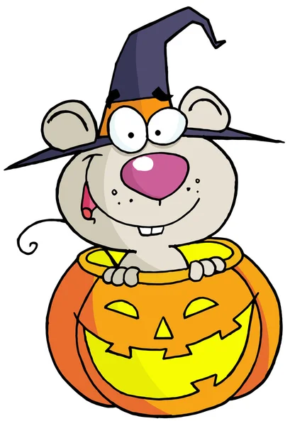 stock image Halloween mouse