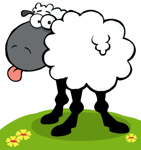 Μαύρα πρόβατα να κολλήσει έξω τη γλώσσα του πάνω σε ένα λόφο — Φωτογραφία Αρχείου
