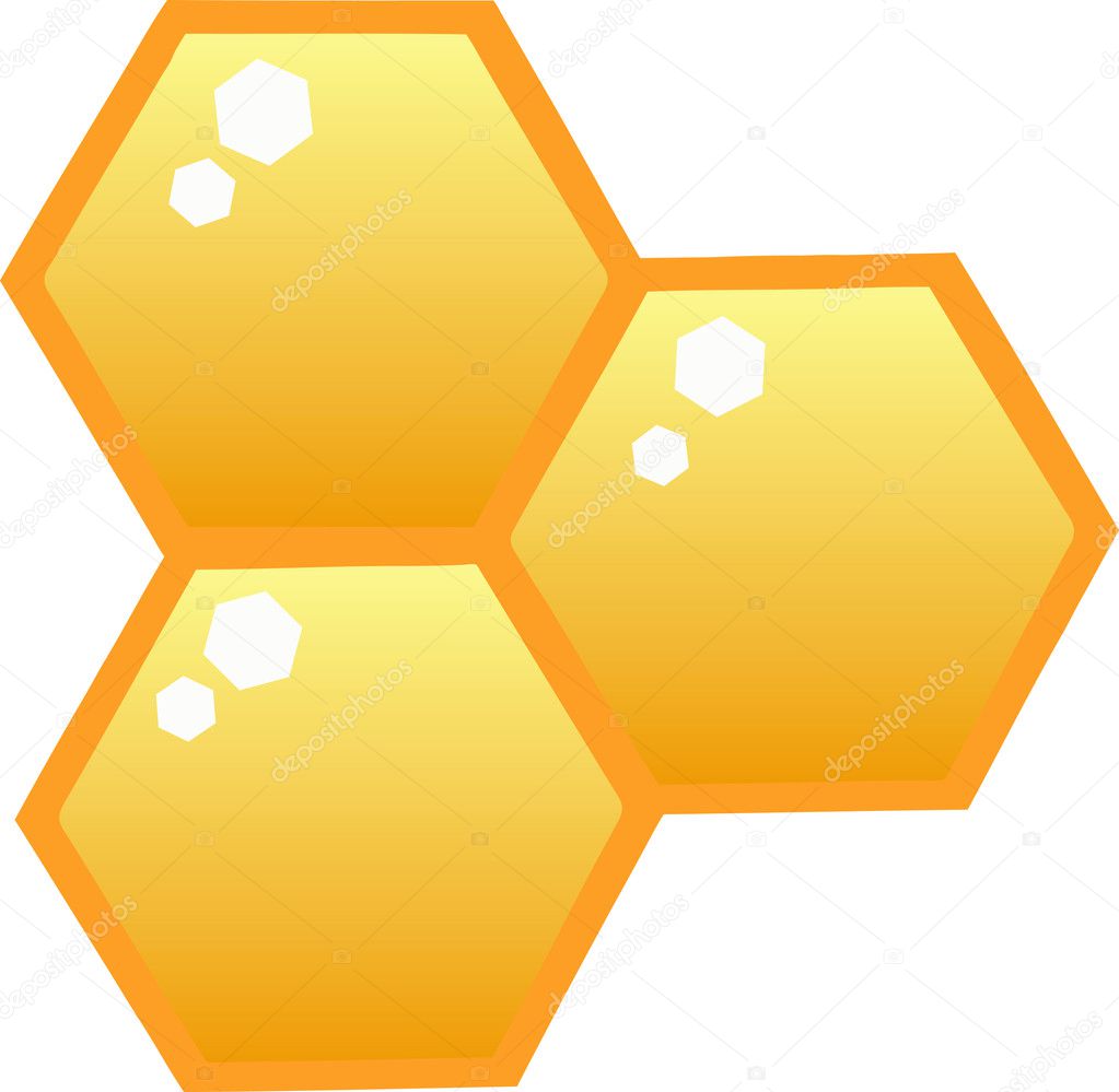 Honey Combs In A Hive