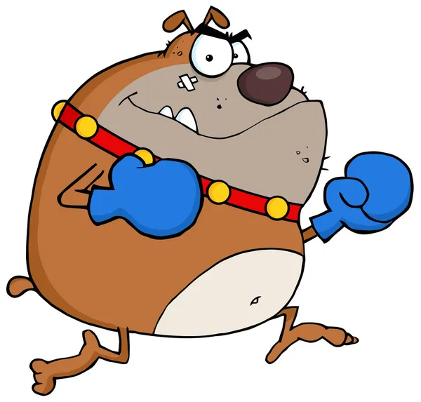 Angry Bulldog Boxer ในถุงมือสีน้ําเงิน — ภาพถ่ายสต็อก