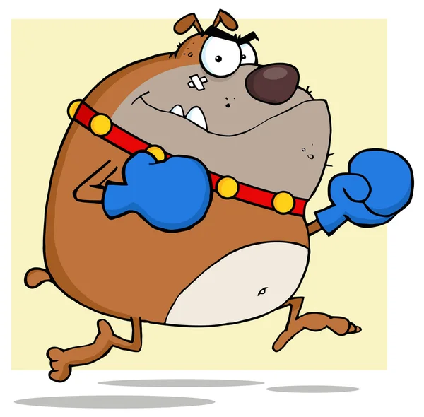 Raiva Bulldog Boxer — Fotografia de Stock