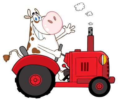 sallayarak ve kırmızı traktör sürme inek çiftliği