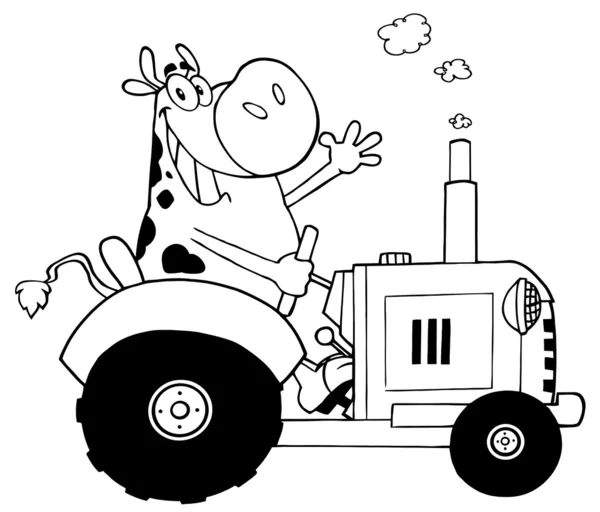 Black and White Cow Farmer Waving And Driving A Tractor — стоковое фото