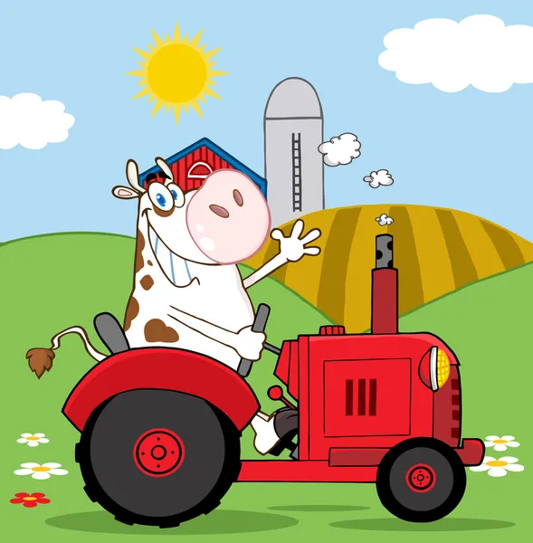 Αγελάδα γεωργός κουνώντας και οδήγηση ένα κόκκινο τρακτέρ σε ένα πεδίο — Φωτογραφία Αρχείου