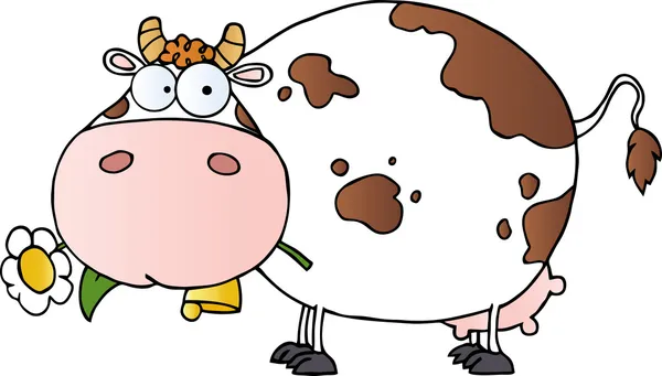 Weiß-braun gefleckte Kuh frisst Gänseblümchen — Stockfoto