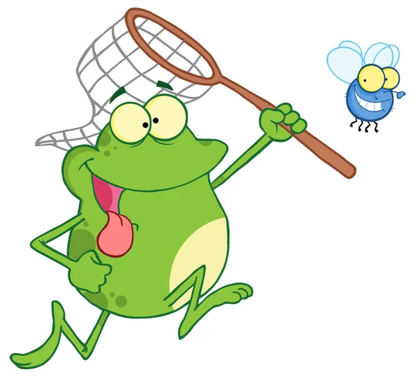 Frosch jagt Fliege mit Netz — Stockfoto
