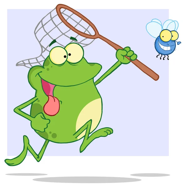 Hungriger Frosch jagt Fliege mit Netz — Stockfoto