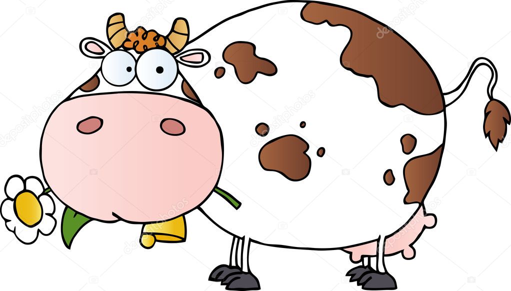 White Fat Cow