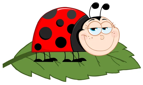 Happy Ladybug On A Leaf — Stock Photo, Image