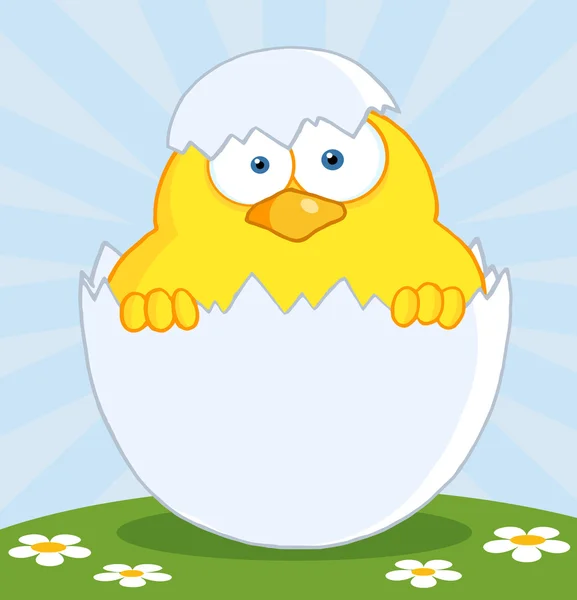 Gele Pasen chick in een shell op een heuvel — Stockfoto