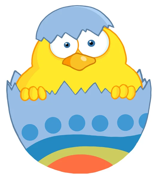 黄色复活节小鸡在一个蓝色的壳 — 图库照片
