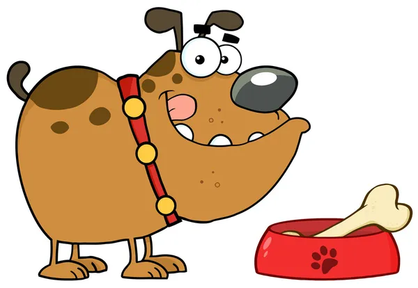 Glückliche Bulldogge mit Schale und Knochen — Stockfoto