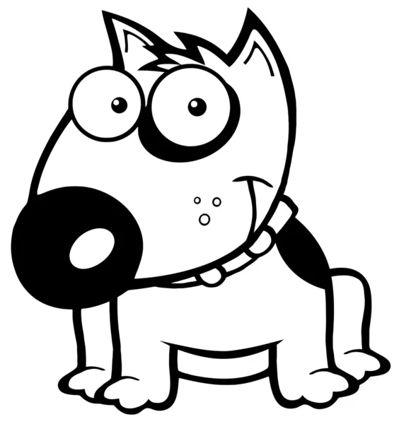 笑みを浮かべて茶色・ ブル ・ テリア犬の概説 — ストック写真