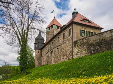 Castle Elgersburg clipart