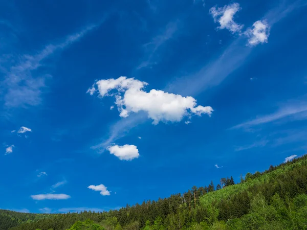 stock image Thuringian Forest