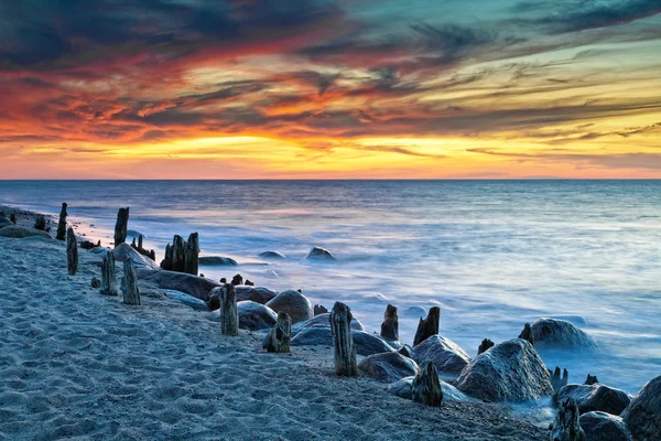 stock image On shore