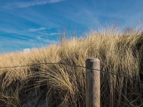 Clôture de dune — Photo
