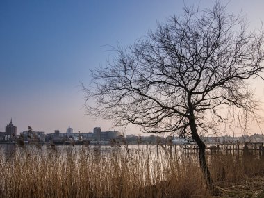 Rostock için görüntüleme