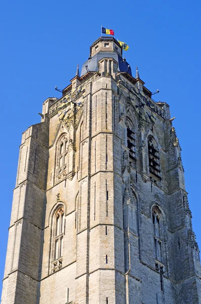 St Walburgakerk, Oudenaarde, Flanders, Belgium — Stock Photo, Image