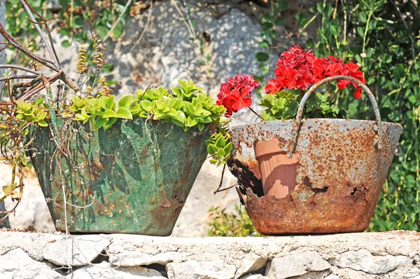 Bloemen in roestig, vintage containers — Stockfoto