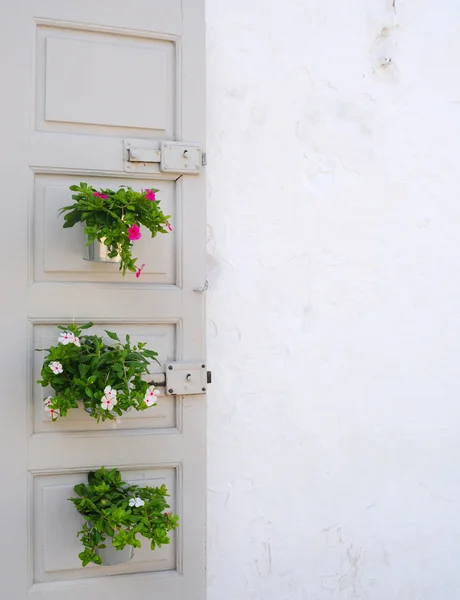 Vintage deur met bloempotten — Stockfoto