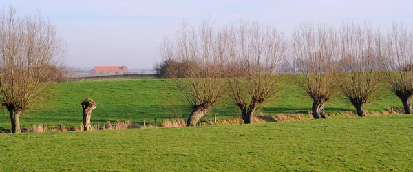 Paisagem polder — Fotografia de Stock