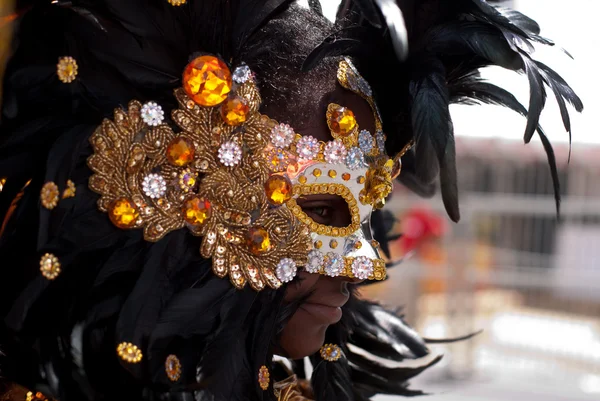 Giovane Carnevale Reveler Immagini Stock Royalty Free