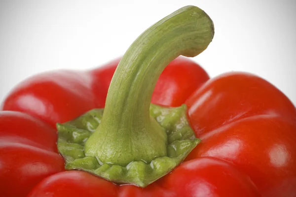 Ljust röd paprika närbild — Stockfoto