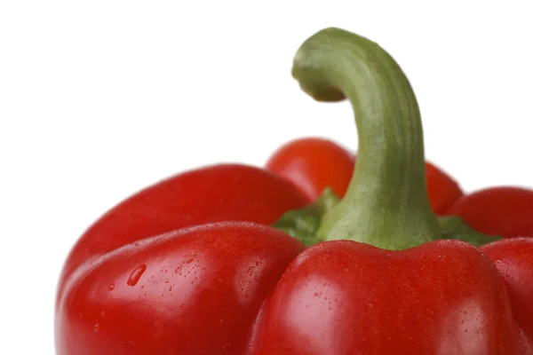 Våt röd paprika närbild — Stockfoto