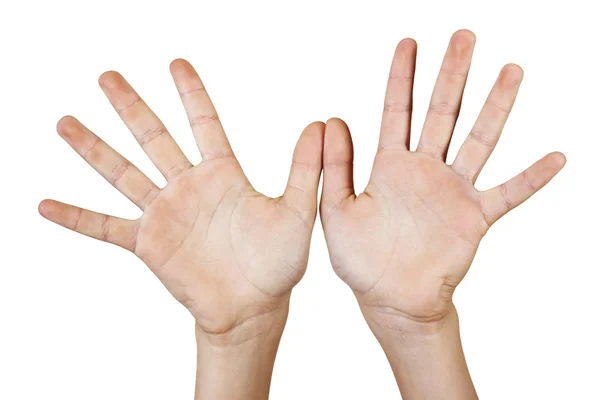 Due mani aperte . Fotografia Stock