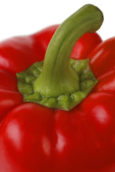Closeup de pimenta vermelha brilhante . — Fotografia de Stock
