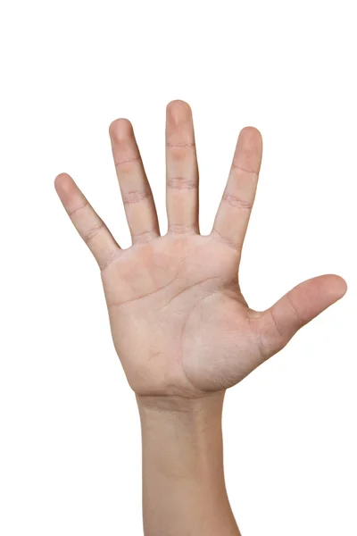 Cinco dedos — Fotografia de Stock