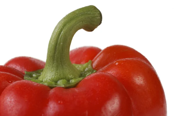 Closeup de pimenta vermelha molhada . — Fotografia de Stock