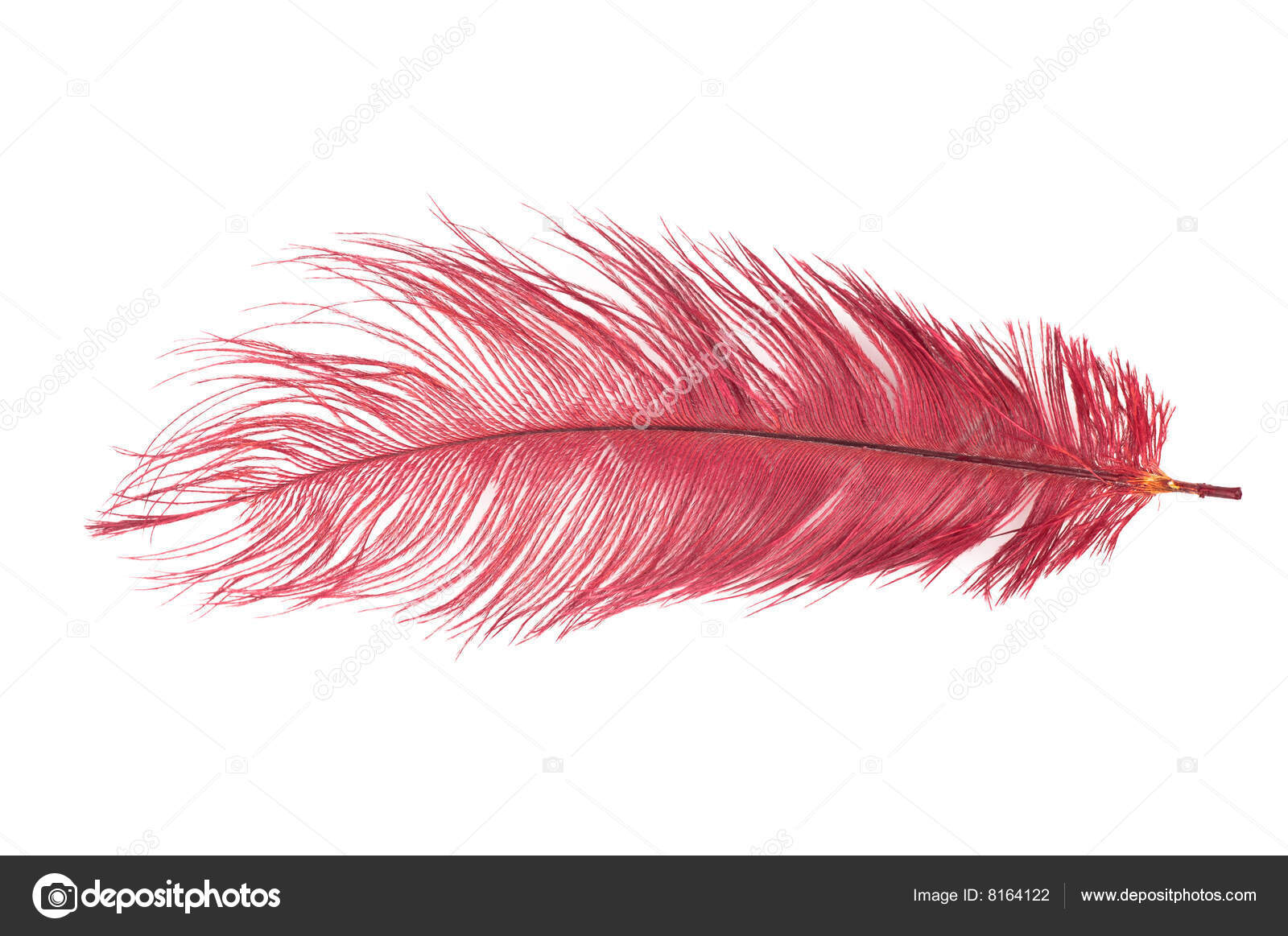 Red feather Stock Photo by ©LCalek 8164122