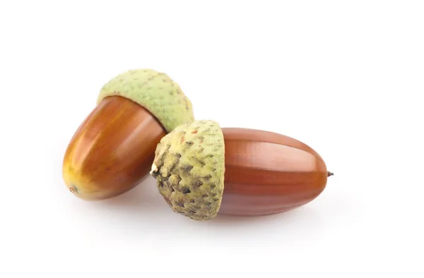The acorns — Stock Photo, Image