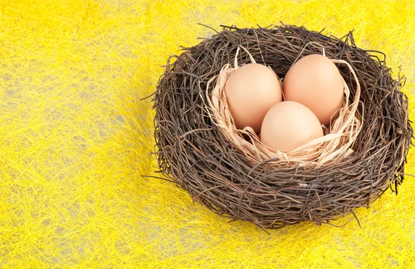 De eieren — Stockfoto