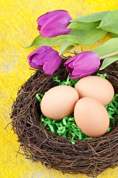 Eggs and tulips — Stock Photo, Image