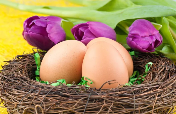 Yumurta ve laleler — Stok fotoğraf