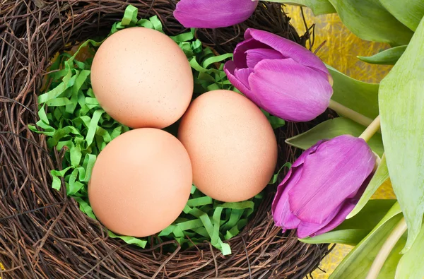 Яйца и тюльпаны — стоковое фото