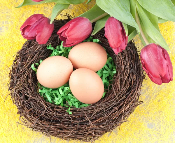 Ägg och tulpaner — Stockfoto
