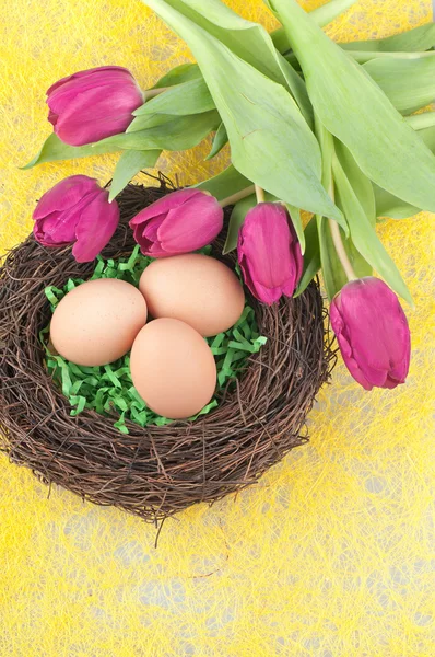 Jaja i tulipany — Zdjęcie stockowe