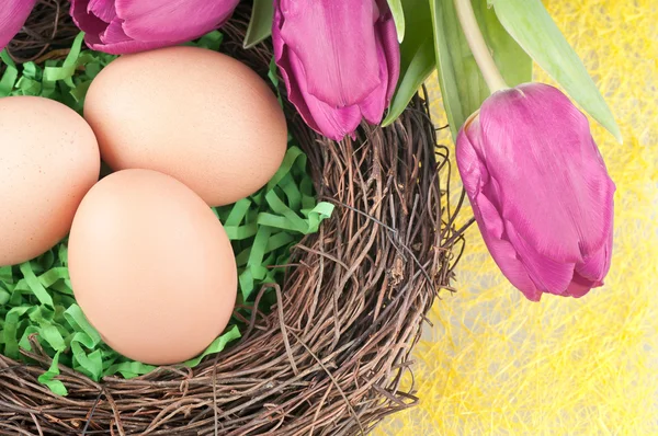 Eieren en tulpen — Stockfoto