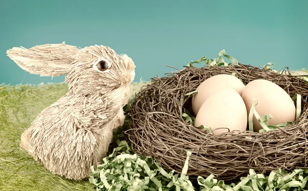 Iepure și ou — Fotografie, imagine de stoc