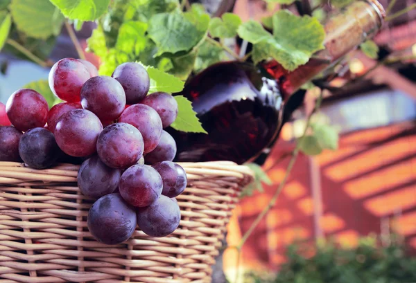 Wine and grape — Stock Photo, Image