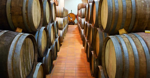 Casks with wine — Stock Photo, Image