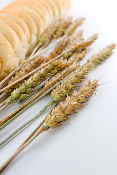 Hojas de pan y cereales —  Fotos de Stock