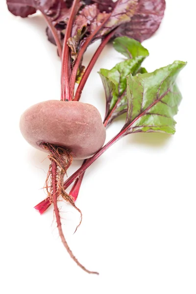 Beet with leaves — Stock Photo, Image